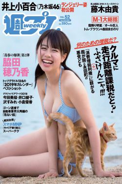 暗夜与黎明电视剧剧情